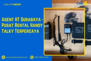 Agent HT Surabaya